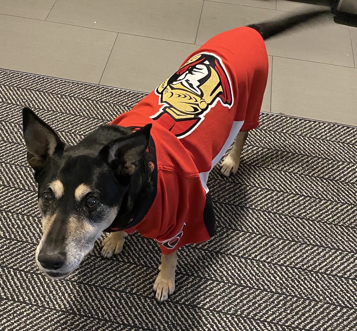Maddy in Sens Jersey